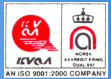 Dock Levelers, Dock Leveler, Loading & Unloading Equipment, Roll Lifting Trolley, IPC Lifter, Mumbai, India