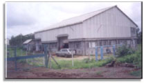Pallet Handling Equipments, Wooden Pallets, Collapsible Pallets, Drum Handling Equipment, Pallet Truck, Mumbai, India