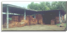 Pallet Handling Equipments, Wooden Pallets, Collapsible Pallets, Drum Handling Equipment, Pallet Truck, Mumbai, India